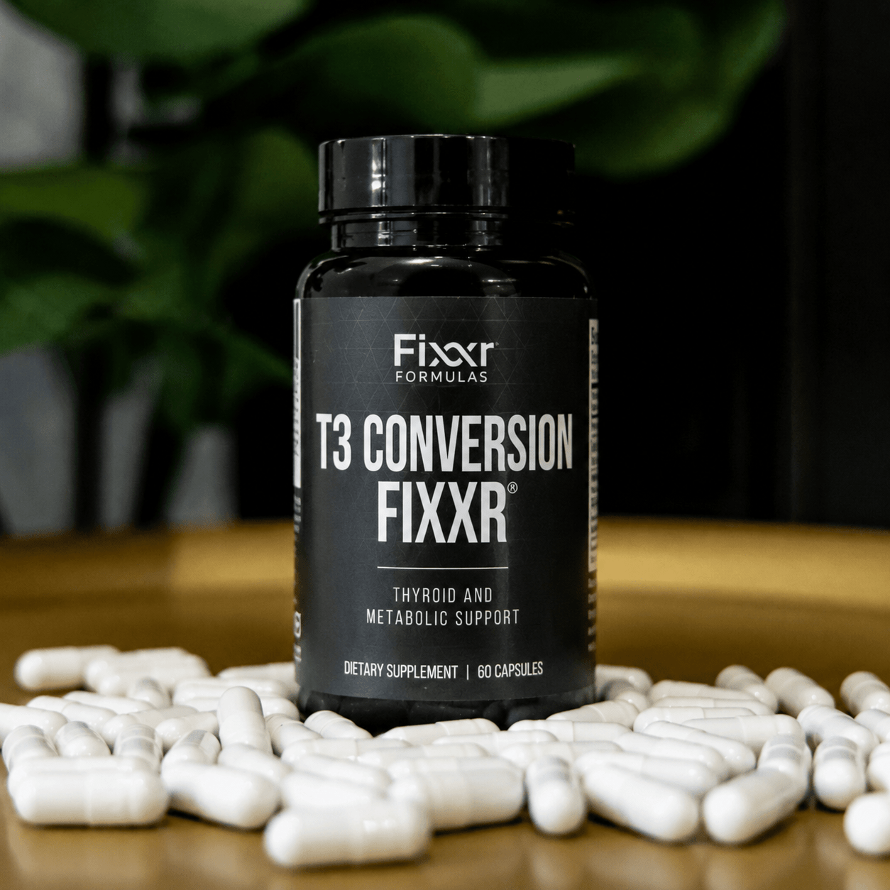 T3 Conversion Fixxr