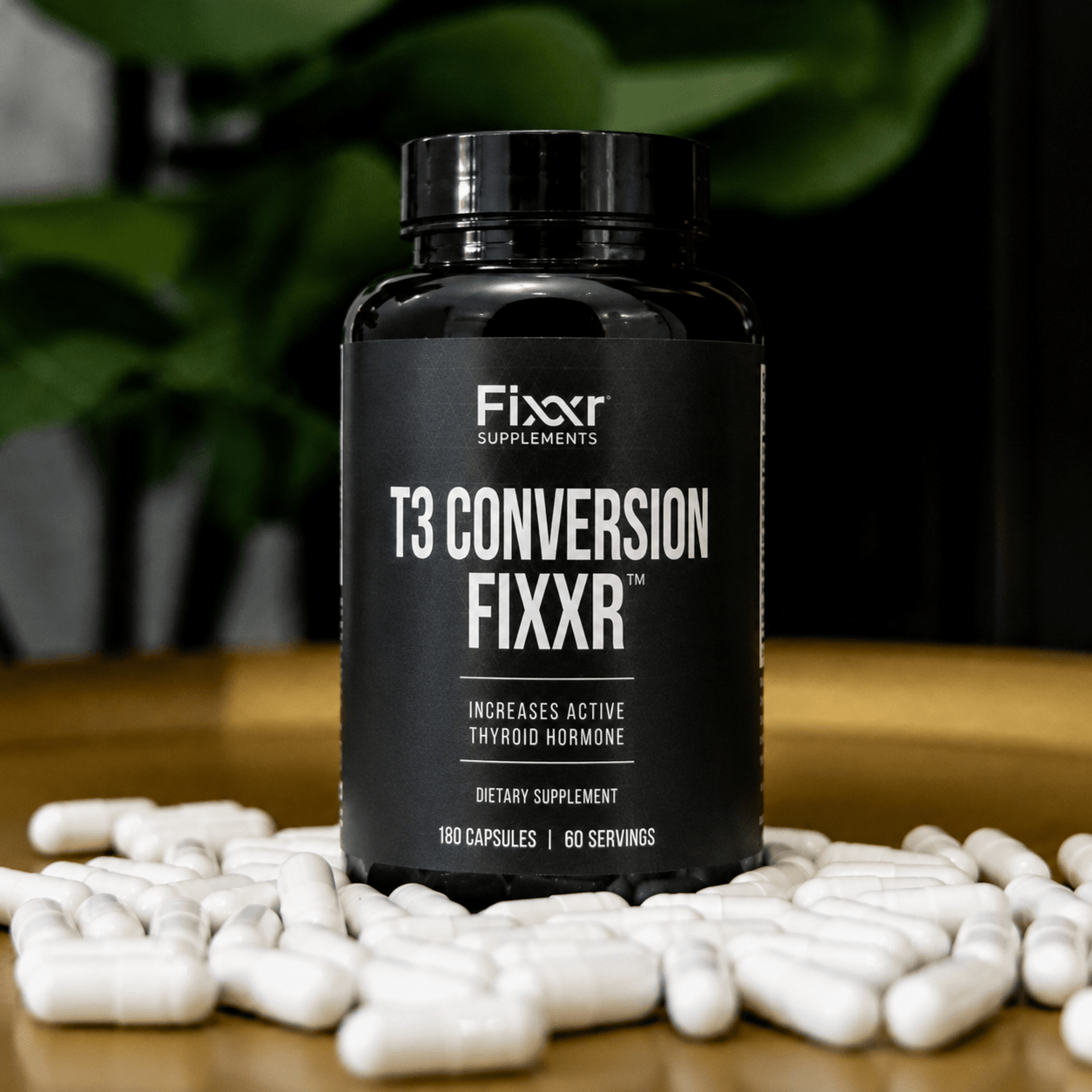 T3 Conversion Fixxr