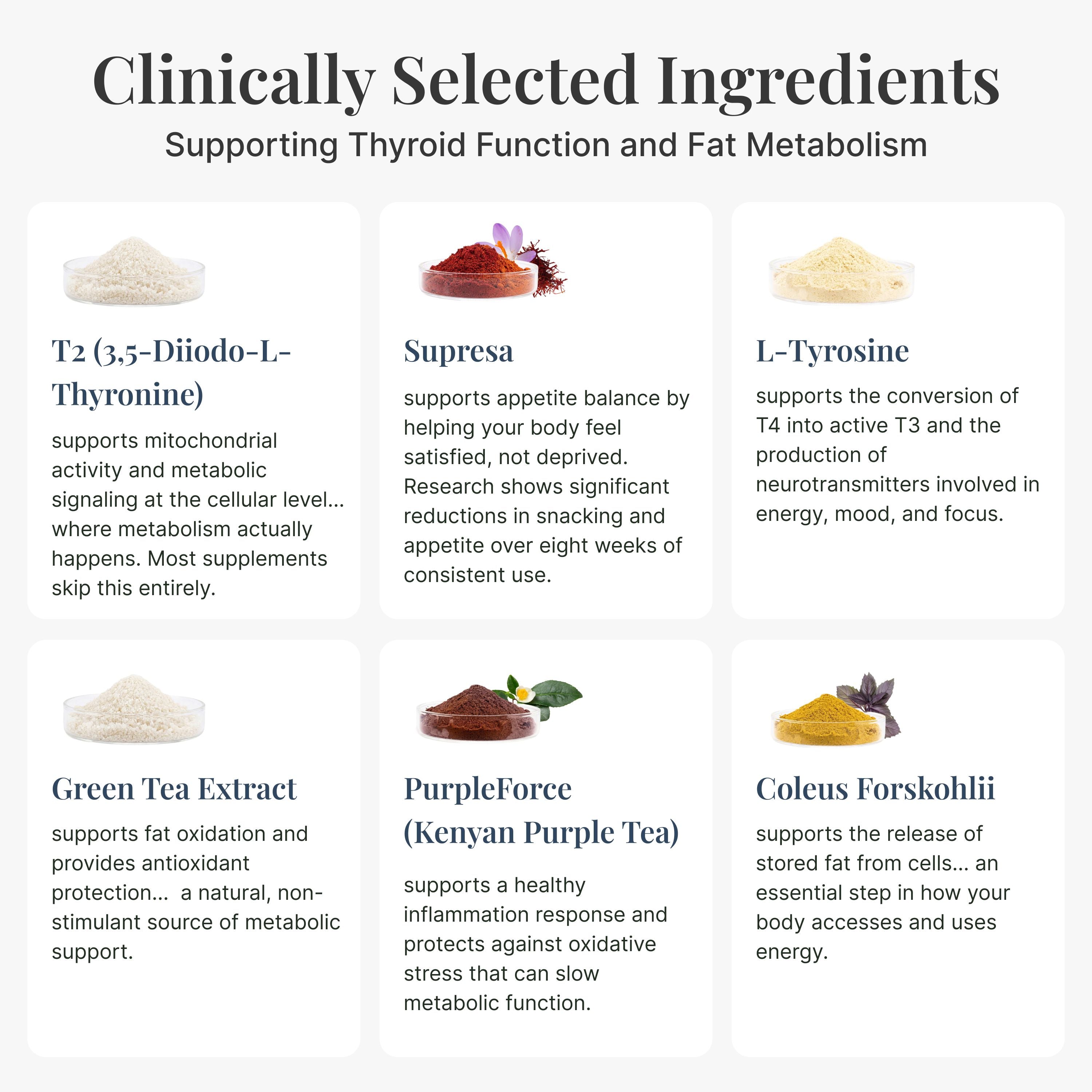 Metabolism Fixxr - T2 supplement in beverage form