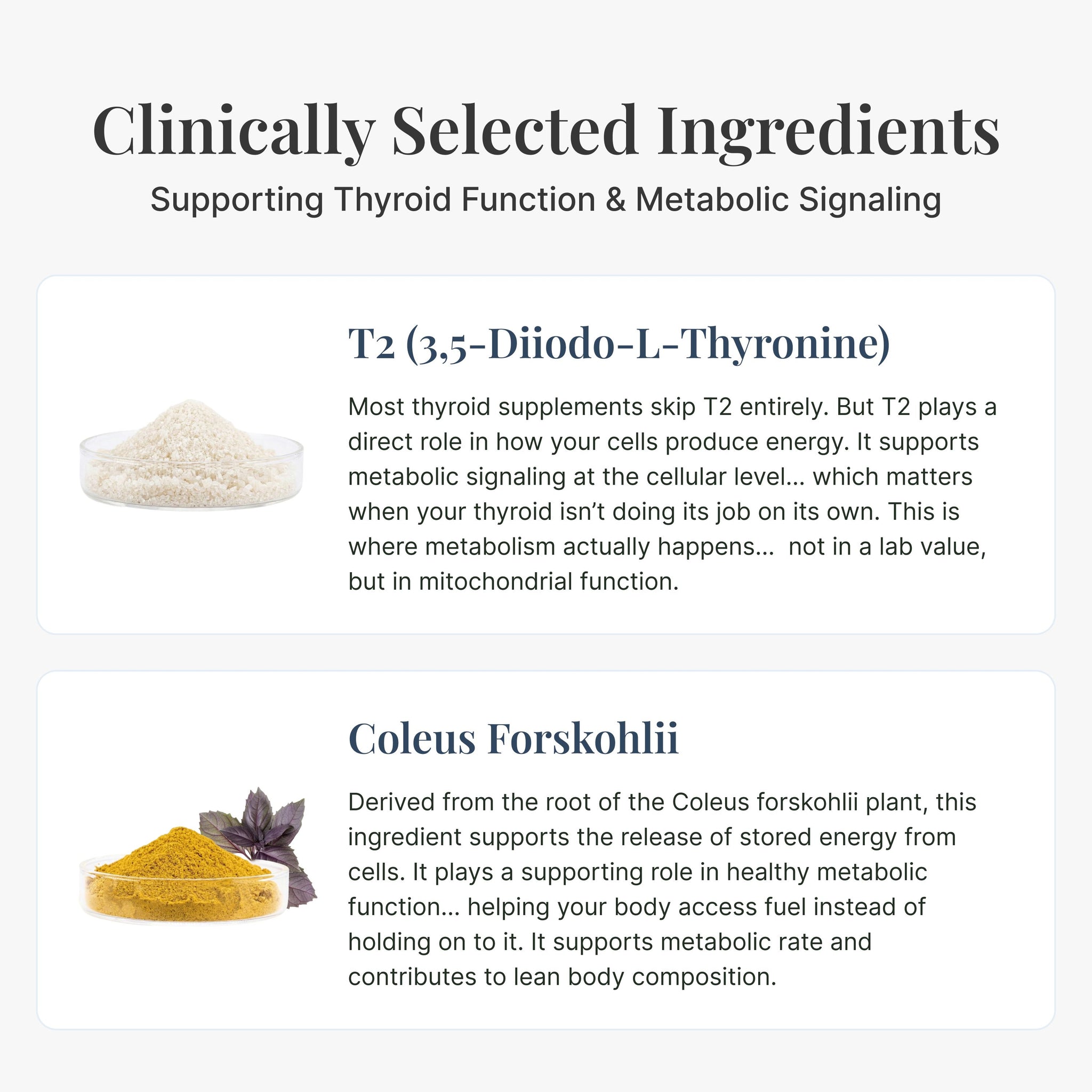 Thyroid Fixxr® T2 Supplement