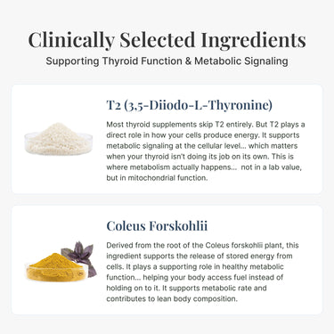 Thyroid Fixxr® T2 Supplement